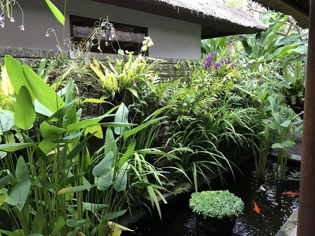 Bali Villa Aja Seminyak  Ngoại thất bức ảnh